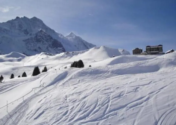 Chalet Tilia Alpehytte