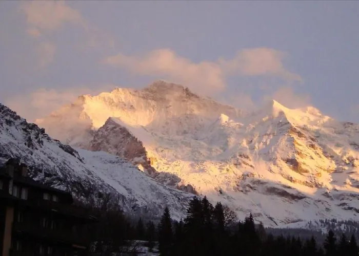 Alpehytte Chalet Tilia *