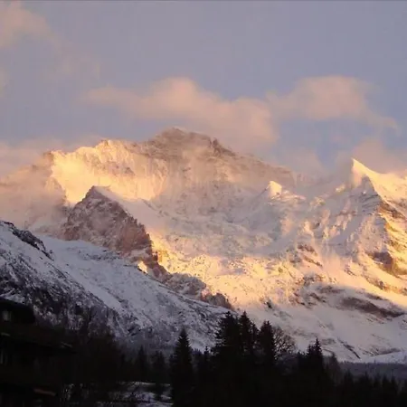 Chalé Chalet Tilia *