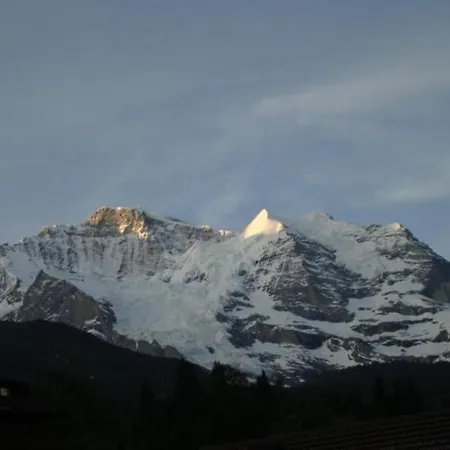 Chalet Tilia * Wengen