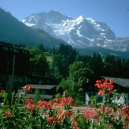 Chalet Tilia